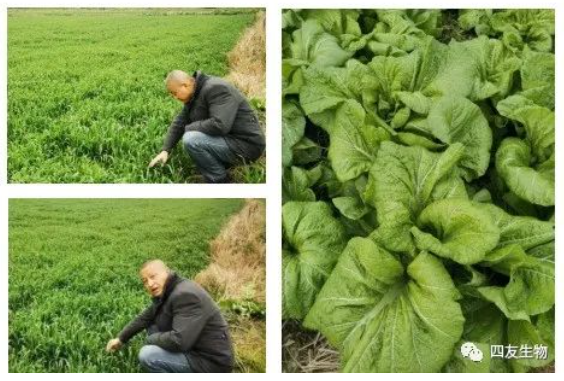 三春好时节，躬耕事乡土